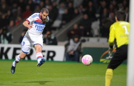 img-lyon-et-l-il-du-tigre-1333833247_620_400_crop_articles-155499